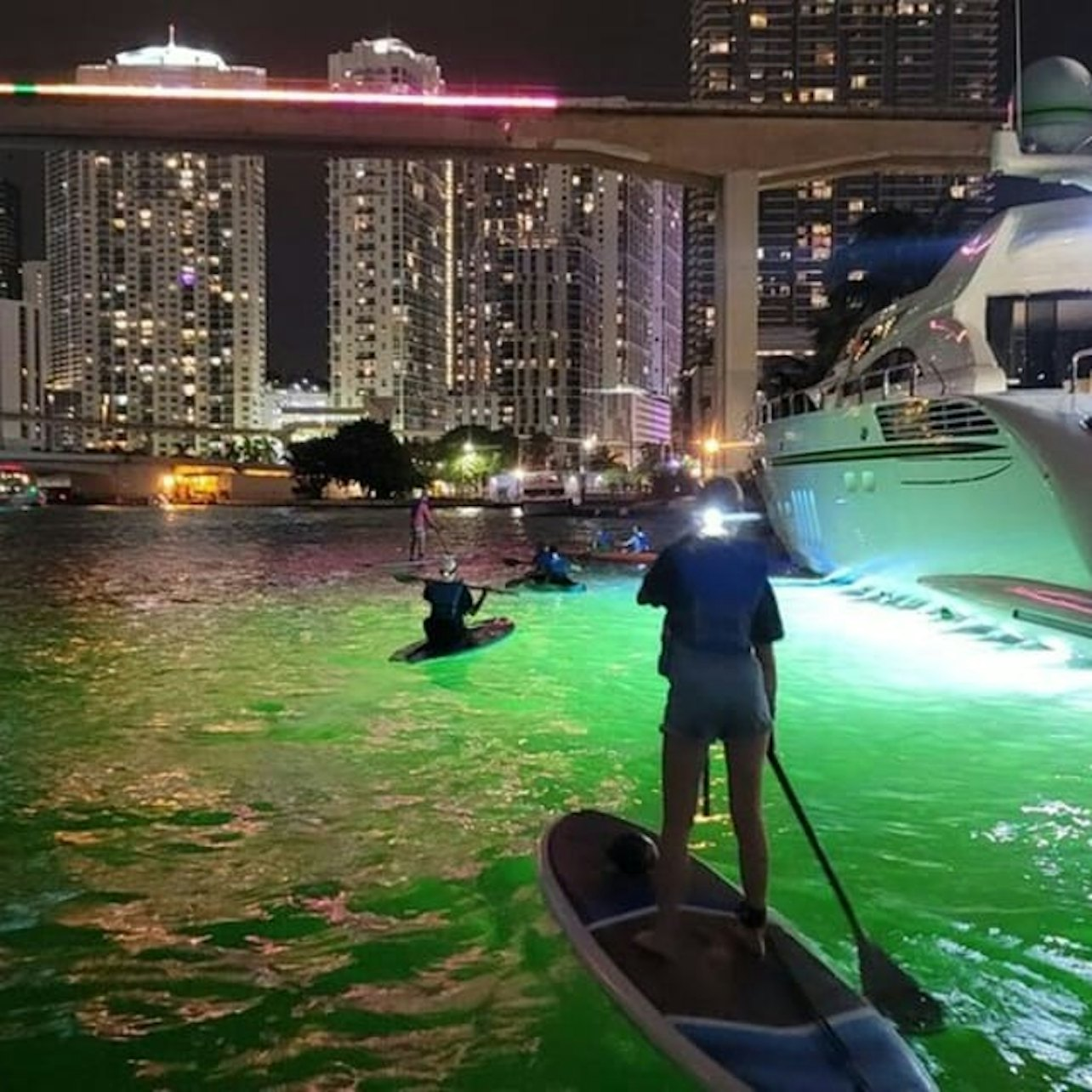 Miami: City Lights SUP or Kayak Night Tour - Photo 1 of 4